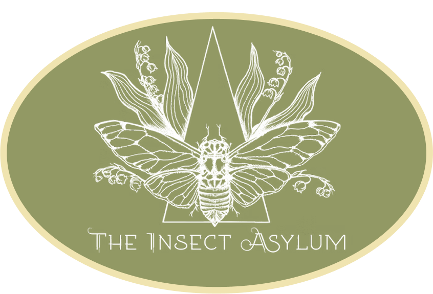 The Insect Asylum 1